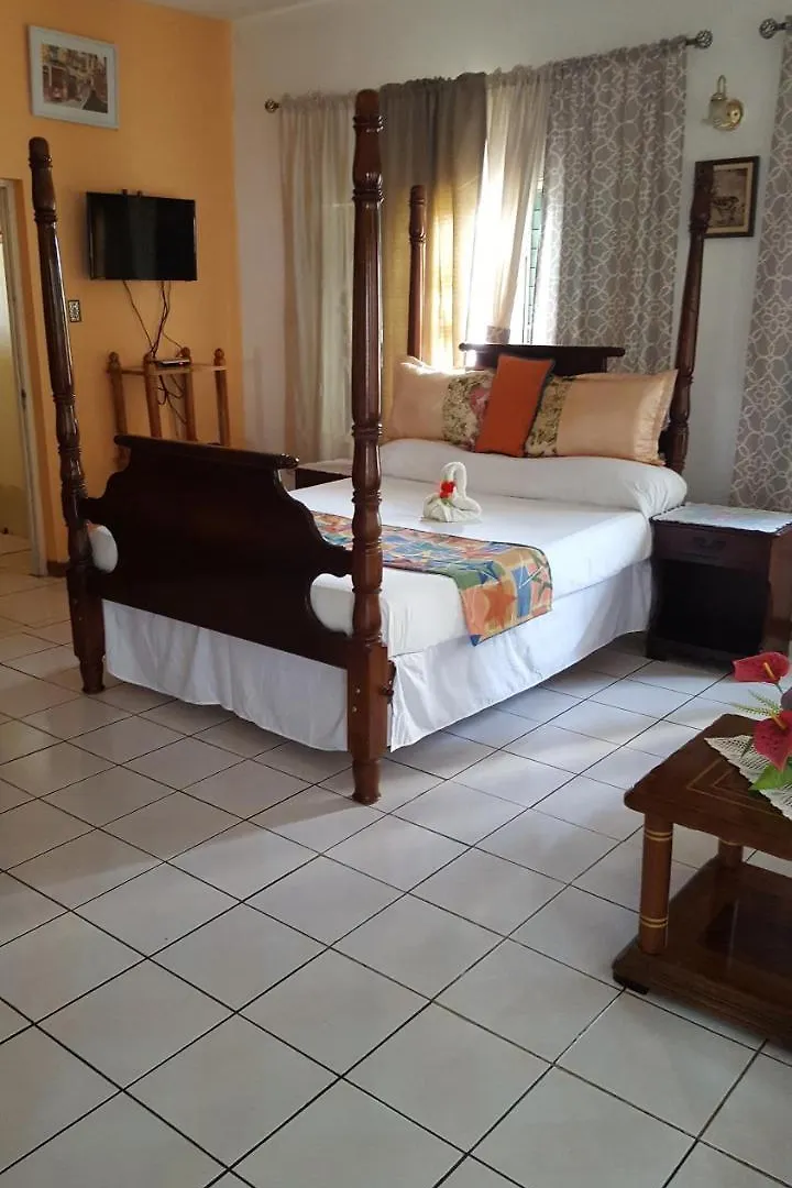Palm Tree Guest House Lucea