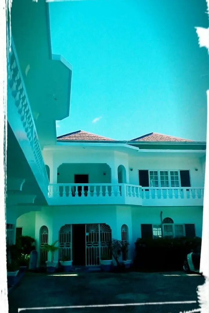 Palm Tree Guest House contacts