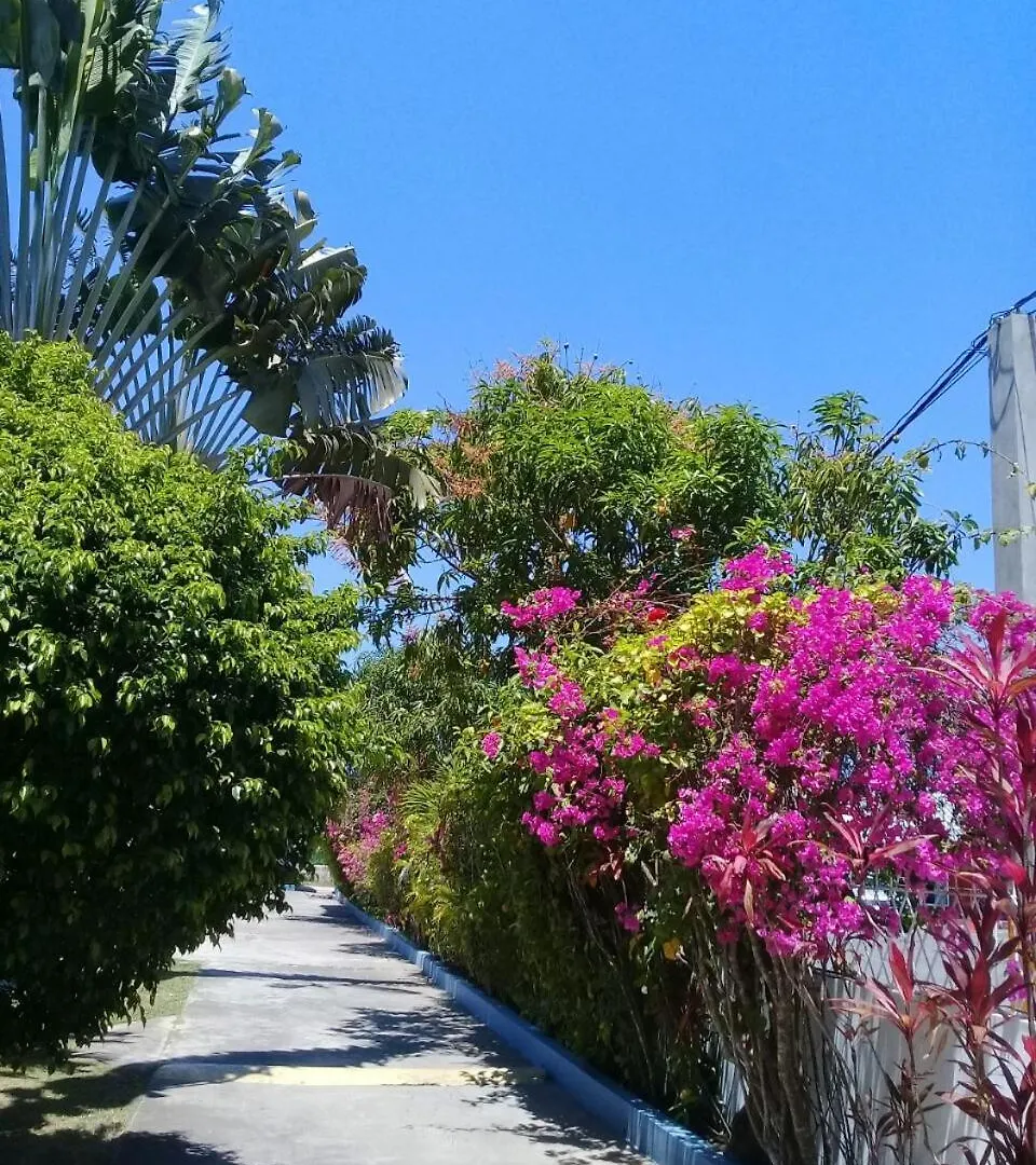 Palm Tree Guest House Lucea