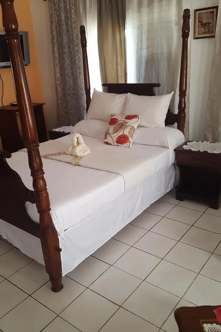 Palm Tree Guest House Lucea