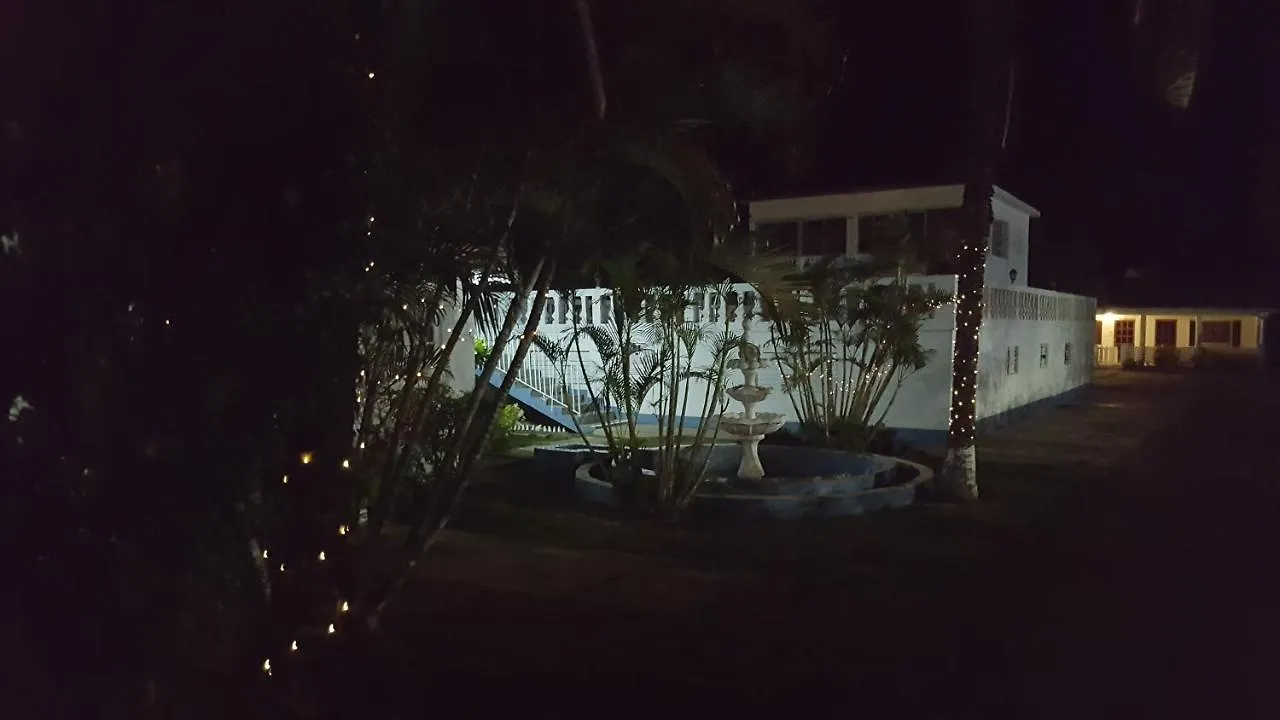 Palm Tree Guest House Lucea