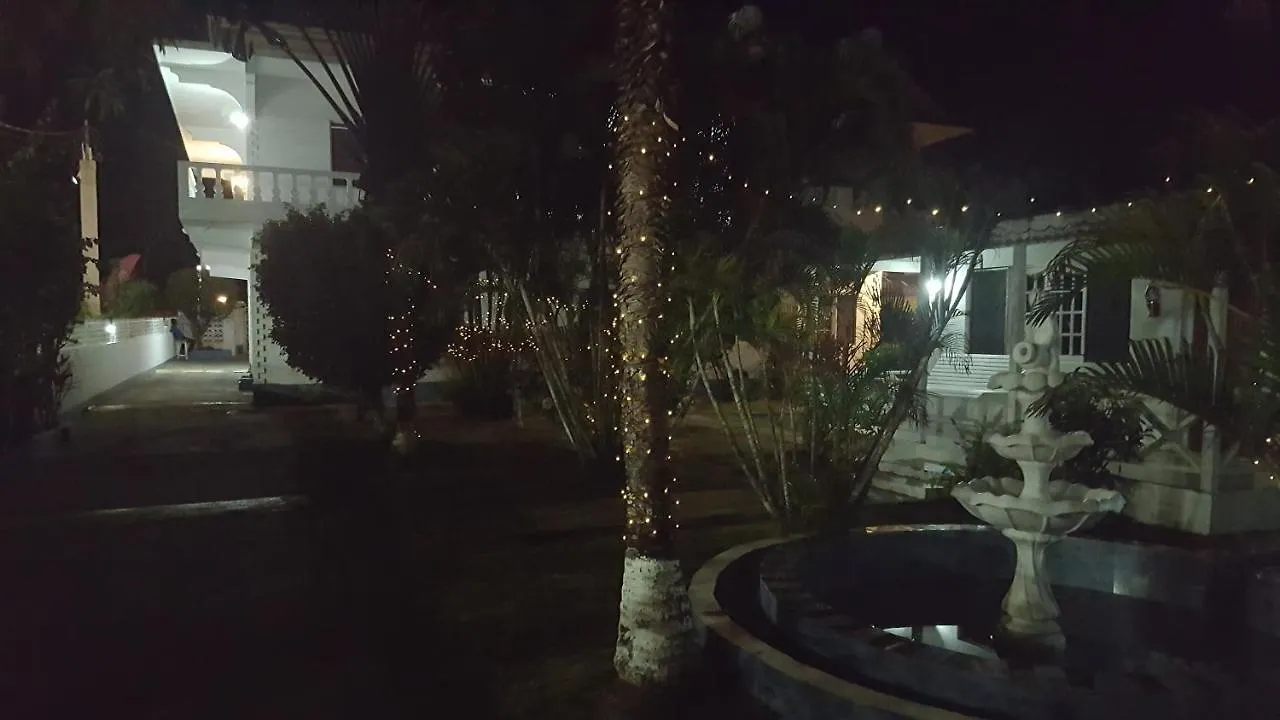 Palm Tree Guest House Lucea