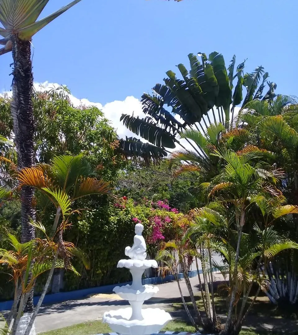 Palm Tree Guest House Lucea 3*,  Jamaica