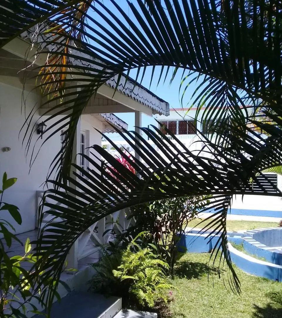 Palm Tree Guest House Lucea Jamaica
