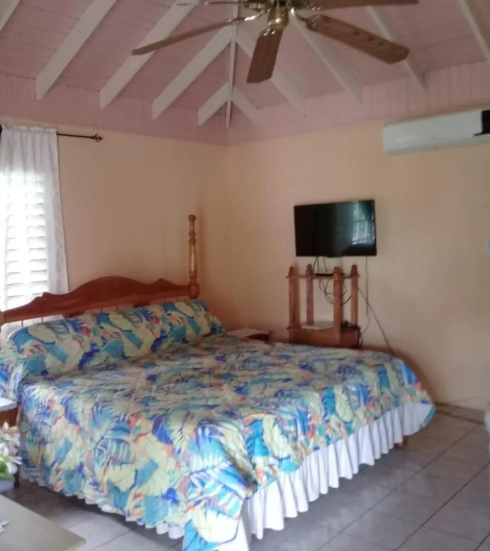 Palm Tree Guest House Lucea 3*,  Jamaica