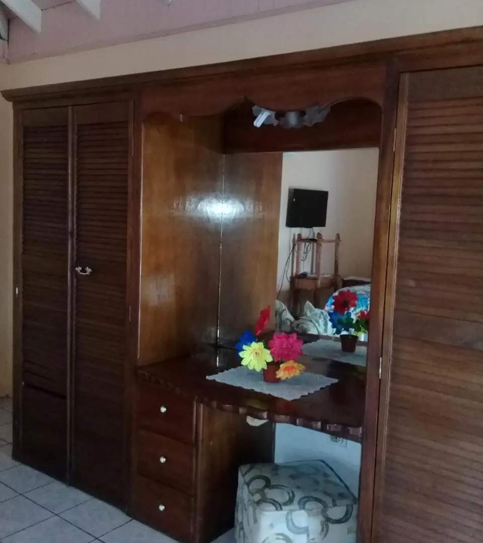 Palm Tree Guest House Lucea