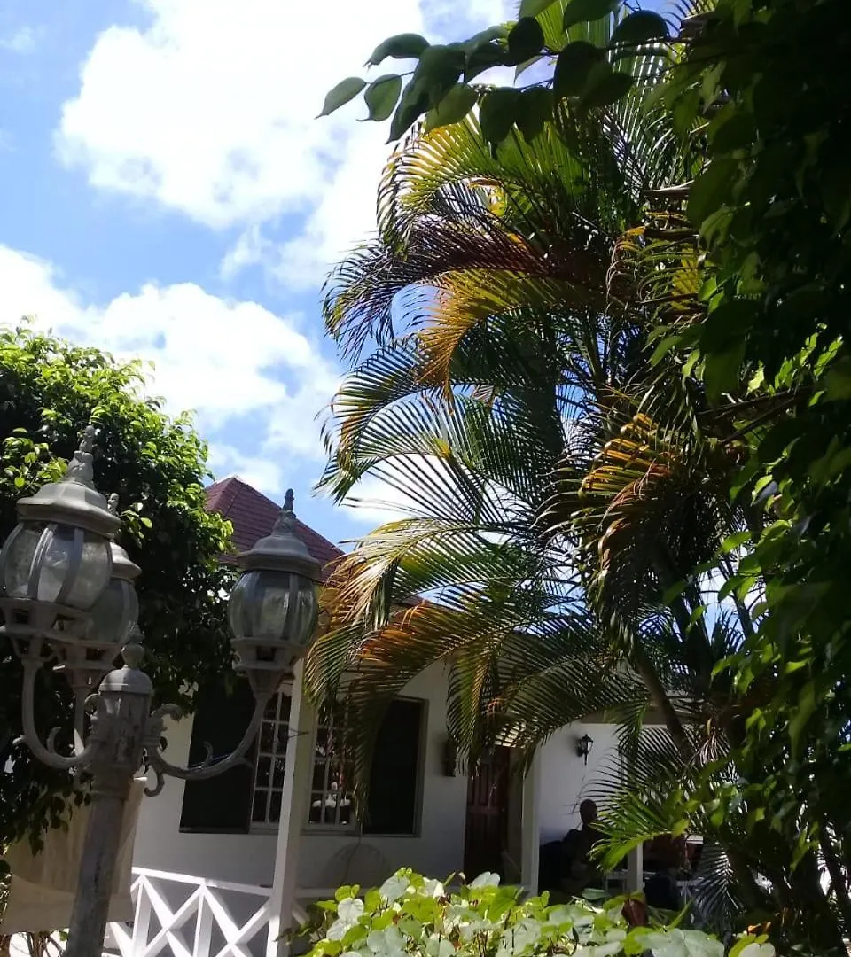 ***  Palm Tree Guest House Lucea Jamaica