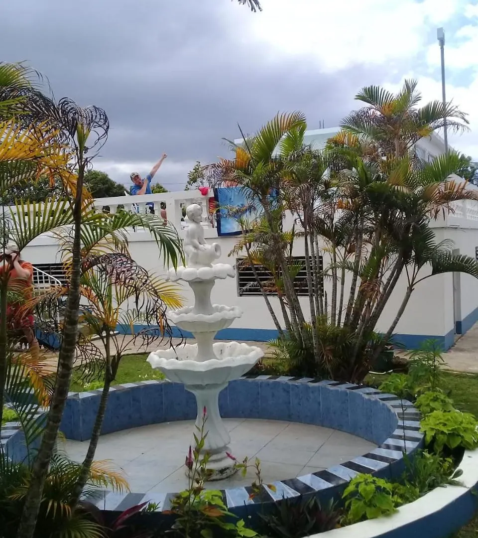 Palm Tree Guest House Lucea