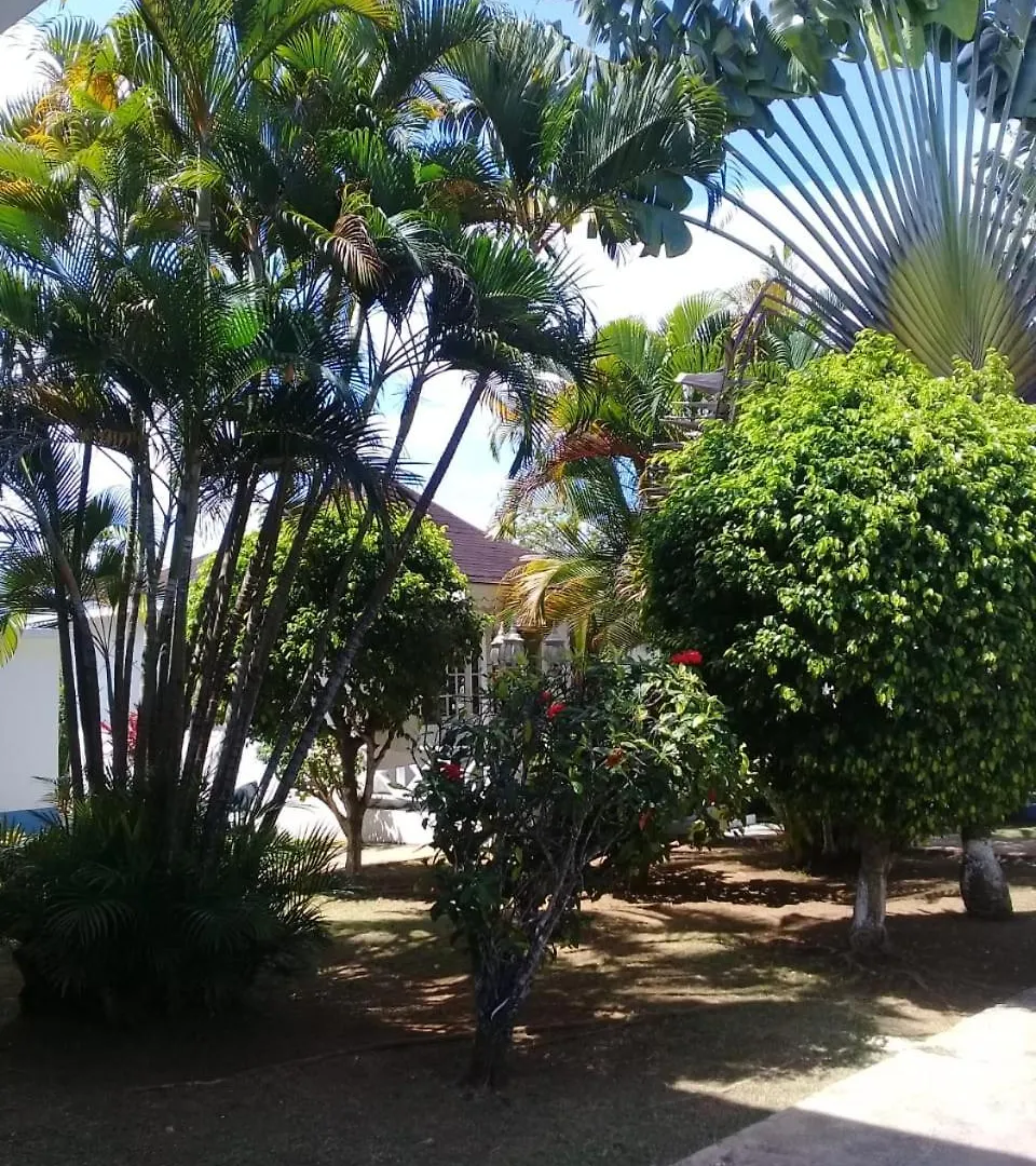 Palm Tree Guest House Lucea