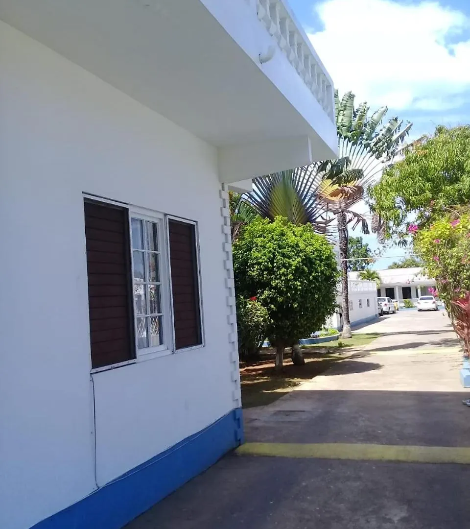 Palm Tree Guest House Lucea